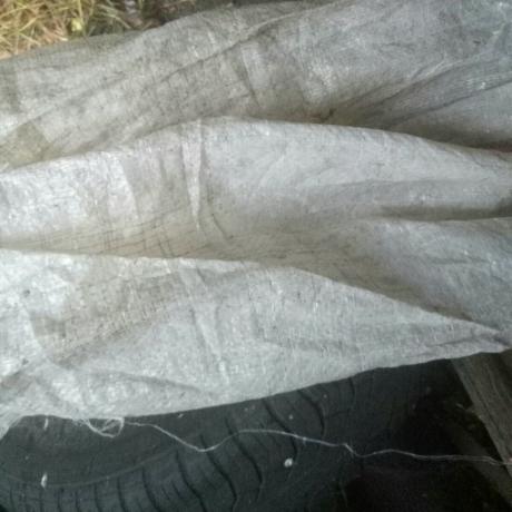 Κόψτε σε λωρίδες σακούλες κάτω από τη ζάχαρη και τυλιγμένο κορμούς τους στα δέντρα το χειμώνα.