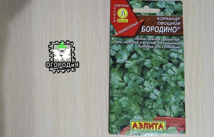 Τσάντα της κόλιανδρο σπόρων λαχανικών Borodino