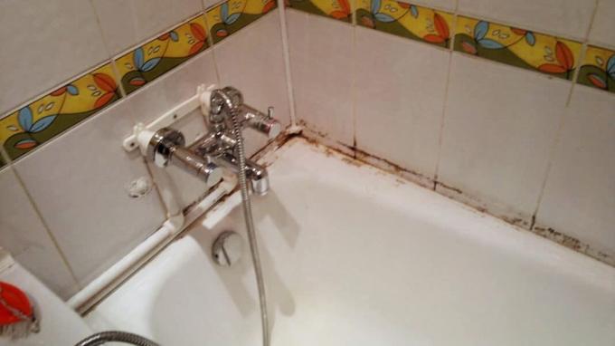 Mold στο μπάνιο ως ένα χαρακτηριστικό πολλών διαμερισμάτων | ZikZak 
