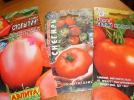 Η πρώτη συγκομιδή της ντομάτας - ξεκινήσω με τι βαθμούς;