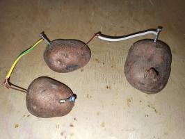 Ηλεκτρική ενέργεια από πατάτες - διεξάγει ένα απλό πείραμα