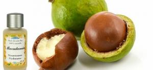 Macadamia Nut: χρήσιμες ιδιότητες και αντενδείξεις