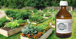 7 εργαλεία για τον κήπο από το φαρμακείο φθηνότερη 50 ρούβλια
