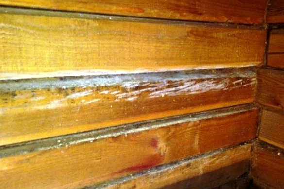 Συμπέρασμα: ξυλεία σπίτι θα πρέπει να είναι ζεστό διαπερατό από τους υδρατμούς μόνωση, όπως ορυκτοβάμβακα.