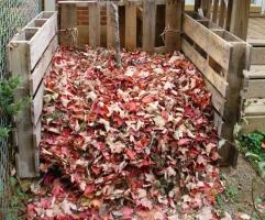 Πού μπορείτε χρήσιμο να χρησιμοποιήσετε πεσμένα φύλλα το φθινόπωρο.