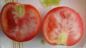 Γιατί να αυξηθεί τις ντομάτες με λευκές φλέβες, και τι πρέπει να κάνετε