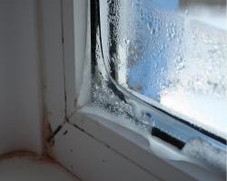 Πλαστικά παράθυρα «κραυγή» για τους οποίους συμπύκνωσης για τα κουφώματα και τι πρέπει να κάνετε