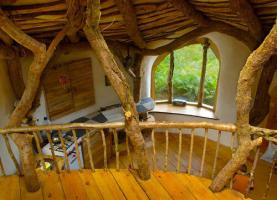 Κατοικία Hobbits γιατί οι άνθρωποι ζουν σε υπόγεια λαγούμια