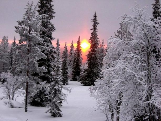 Αφήστε αυτό το χειμώνα θα πρέπει να είναι τουλάχιστον σε μια όμορφη φωτογραφία. Πηγή: assets.oxu.az