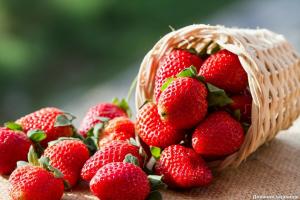 Κοντά σε ό, τι καλλιέργειες δεν μπορούν να φυτευτούν φράουλες