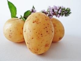 7 super νωρίς και νόστιμα ποικιλίες πατάτας