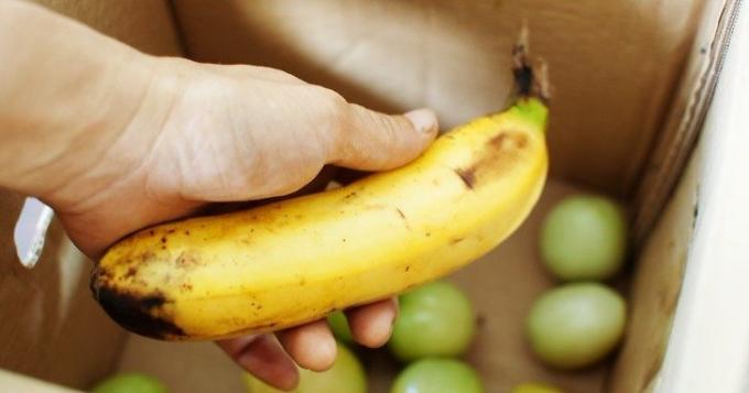 Ώριμη μπανάνα επιταχύνει την ωρίμανση των πράσινες ντομάτες