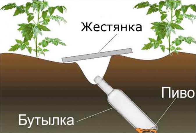 σχεδιασμός ιστοσελίδα klopkan.ru σύστημα