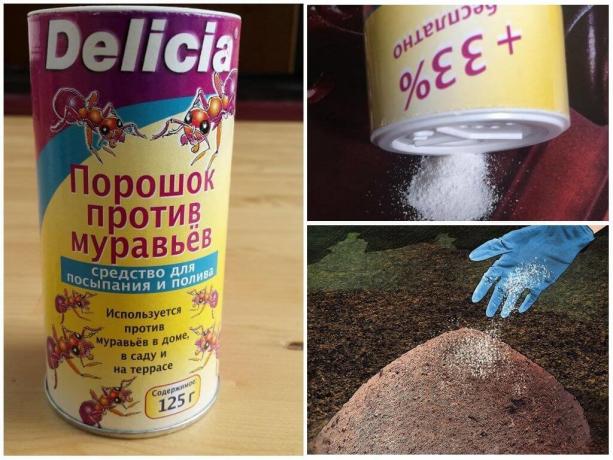 Delicia σκόνη από μυρμήγκια, το κόστος ανά 500g, πάνω από 600 ρούβλια.