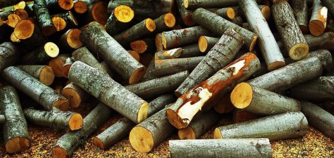 Aspen ξύλο καθαρίσετε τέλεια την αιθάλη καμινάδα