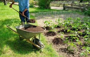 Βιολογικό λίπασμα στον κήπο: 5 καλύτερα ένα χωρίς χημεία