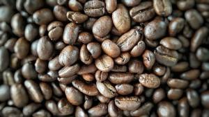 Πώς να χρησιμοποιήσετε το κατακάθι του καφέ στο εξοχικό τους