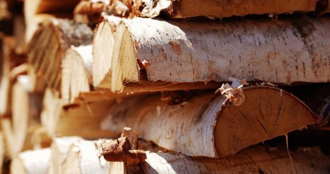 Birch ξύλο είναι σχεδόν ιδανικό για εστία φούρνου