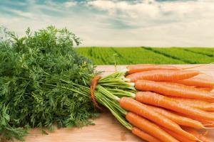 3 τυπικά προβλήματα που μπορεί να προκύψουν όταν αυξάνονται τα καρότα